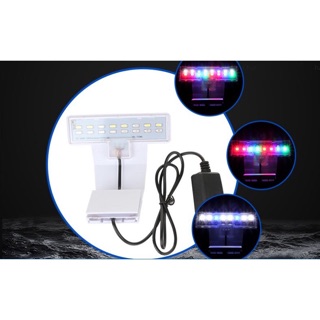 Đèn Led kẹp Coco cho bể thủy sinh