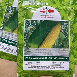 Hạt giống ngô ngọt lai bắp mỹ - hai mũi tên đỏ -500g