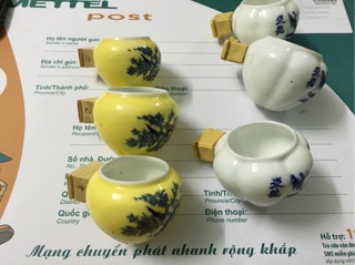 Bộ cóng sứ dành cho chào mào