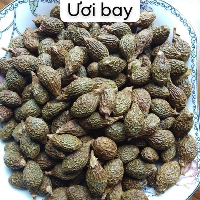 Hạt ươi bay, hạt đười ươi