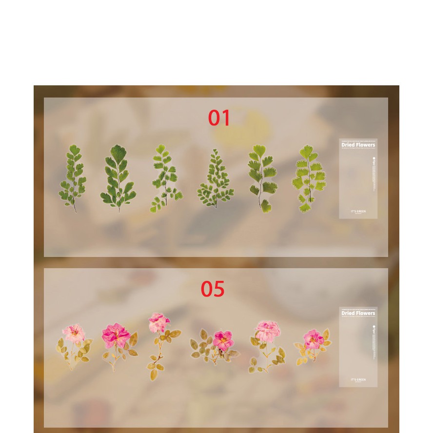 Sticker dán trang trí hình hoa lá