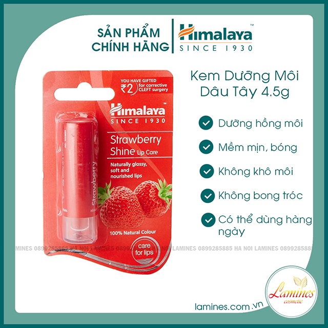 [Chính Hãng] Son Dưỡng Môi Himalaya Herbals Hương Dâu 4.5g - Strawberry Shine Lip Care