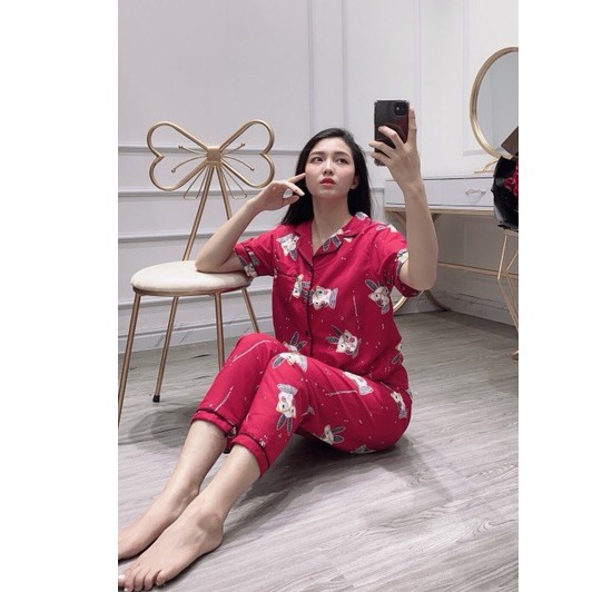 Bộ ngủ pijama tay ngắn quần dài | BigBuy360 - bigbuy360.vn