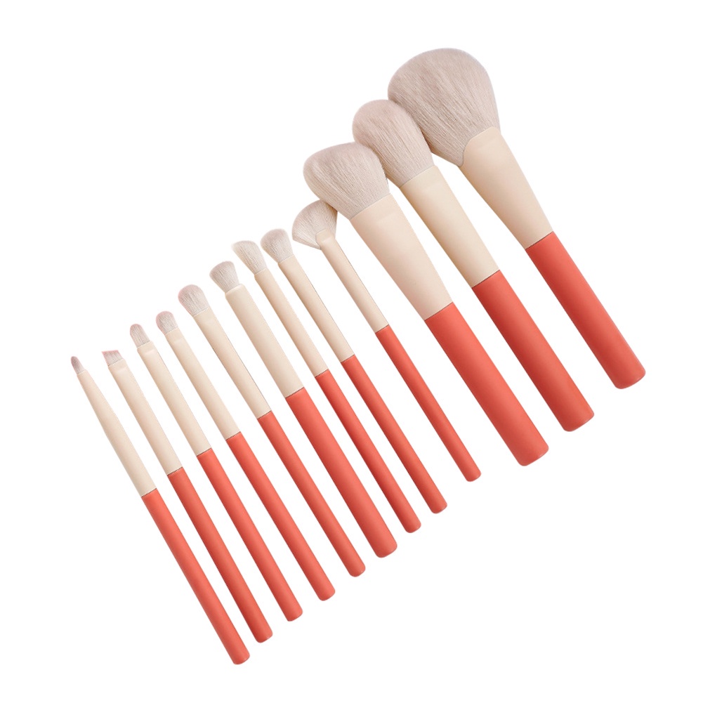 Set 12 Cọ Trang Điểm Phấn Phủ / Phấn Mắt / Phấn Nền Lông Mềm JP1