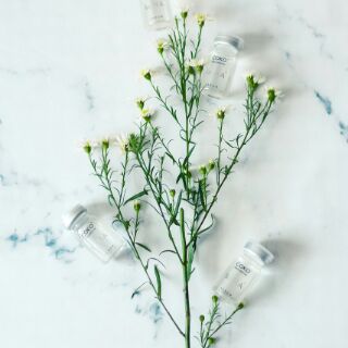 Serum Bio H.A coko