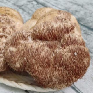Nấm Hầu Thủ khô ( 250g )