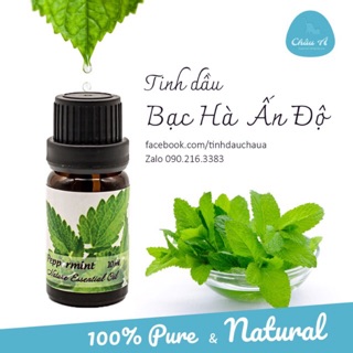 Tinh dầu bạc hà – Pepermint Oil