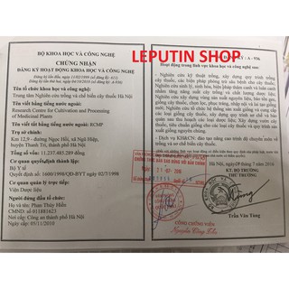 Trà hoa cúc vàng