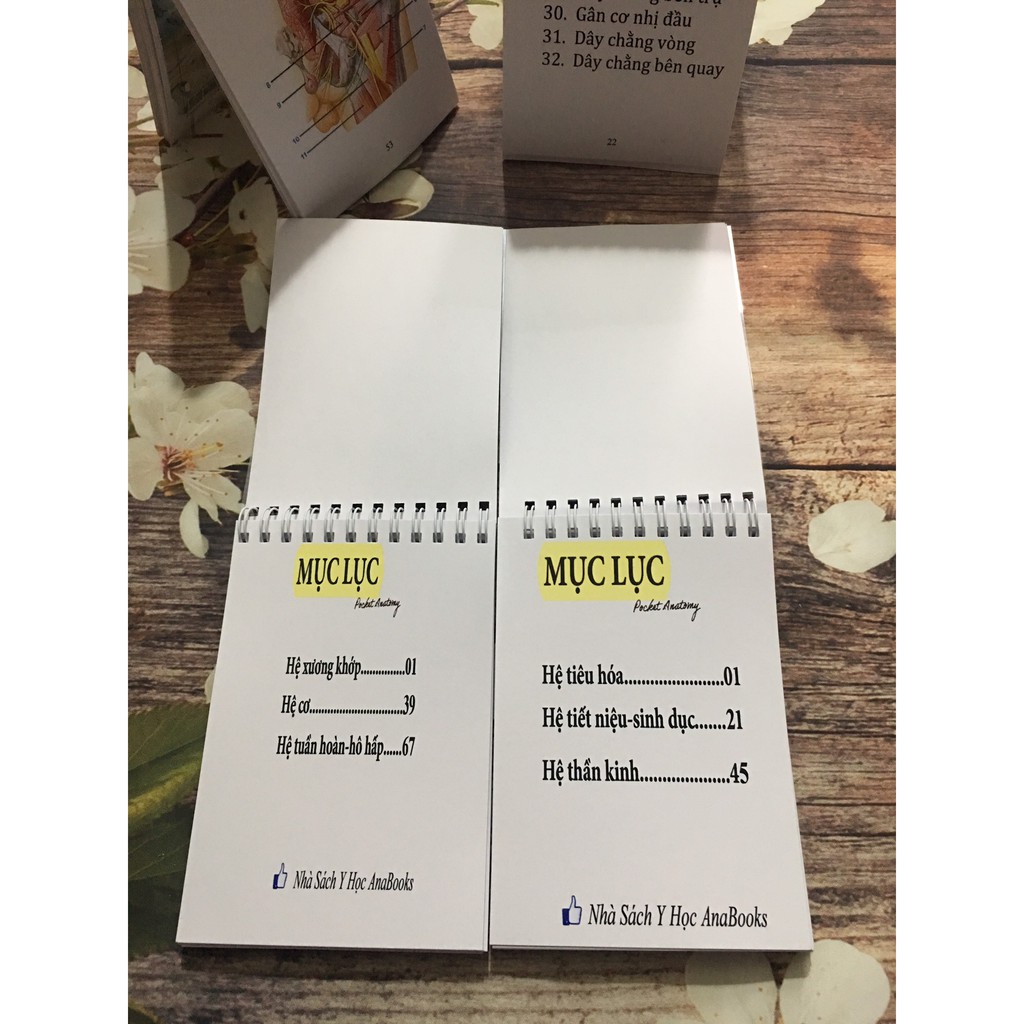 Combo Sổ tay giải phẫu 2 tập