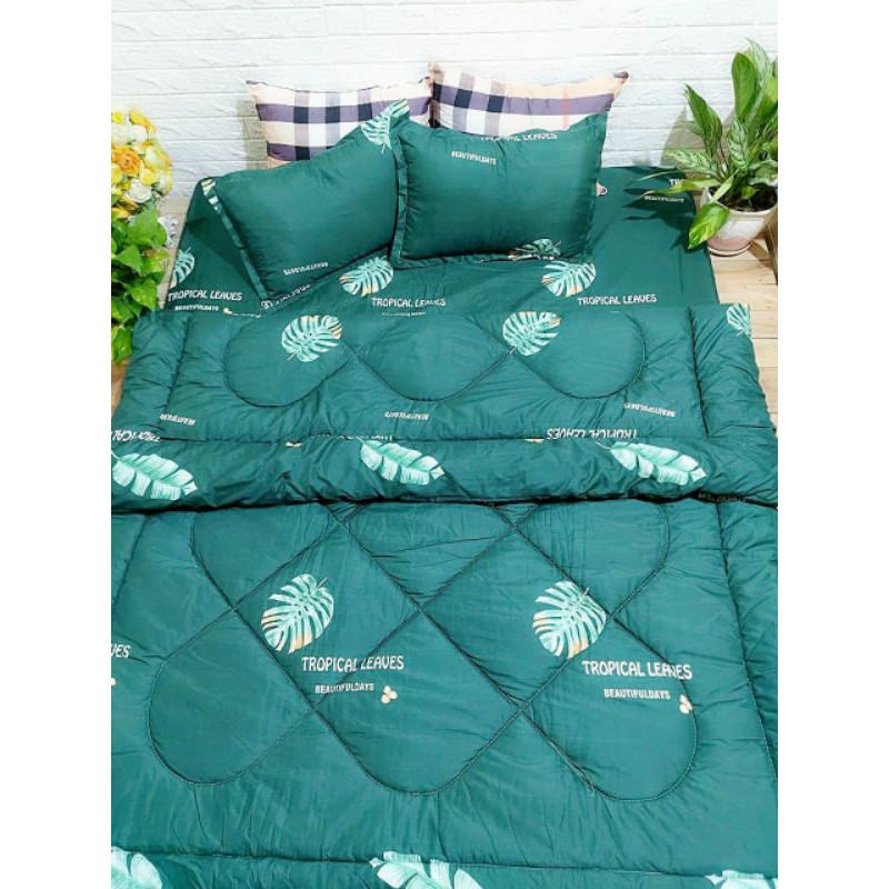 Bộ chăn ga gối 5 món chăn phao dầy nặng 2kg hàng l1(ib chọn mâu)