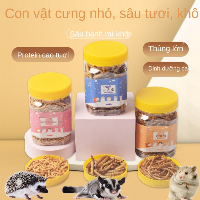 ▤✜■con bọ bánh mì khô thức ăn cho chuột hamster ngũ cốc mật ong túi lượn thú cưng nguồn cung cấp thực phẩm chủ yếu