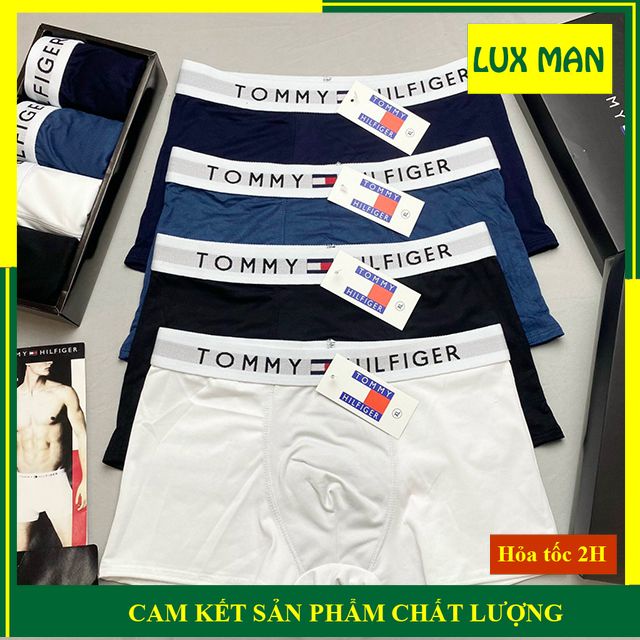 Quần lót nam thun lạnh chính phẩm cao cấp TOMMY, Quần sịp nam đùi thoáng mát đẹp rẻ co dãn 4 chiều SD03 (Che tên) LUXMAN