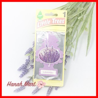 Combo 5 Cây thông thơm Little Trees, Mỹ