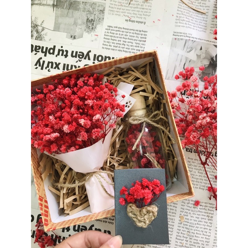 Set quà tăng hoa khô siêu cute | BigBuy360 - bigbuy360.vn