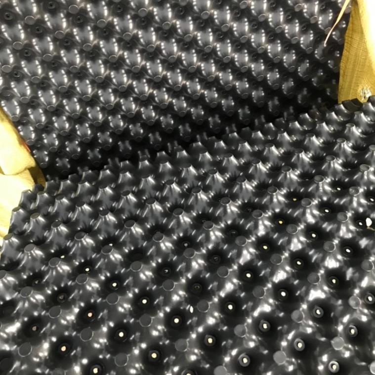 Bầu ươm cây V6 tiện dụng có sẵn ốc vít 0.6x1m (Cao 60cm, bán theo mét tới), mỗi mét kèm 2 vít bắt