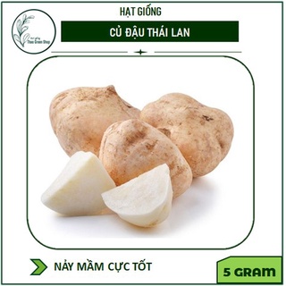 HẠT GIỐNG CỦ ĐẬU THÁI LAN - 5G