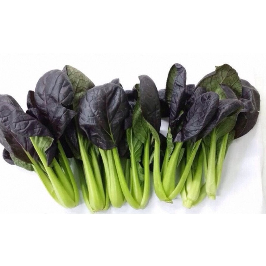 Hạt Giống Cải Ngọt Đỏ  1gr