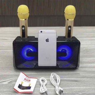 Loa hát karaoke SD 301.Kèm 2 mic.