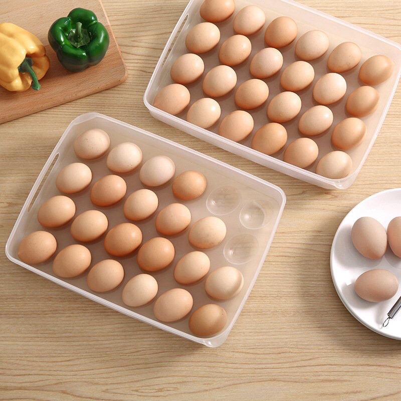 Khay đựng trứng 24 quả có nắp đậy trong suốt nhựa Việt Nhật 6786,hộp đựng trứng an toàn tiết kiệm không gian_CC888