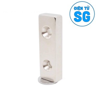 Nam Châm Đất Hiếm 2 lỗ 30x10x5 - CP6V