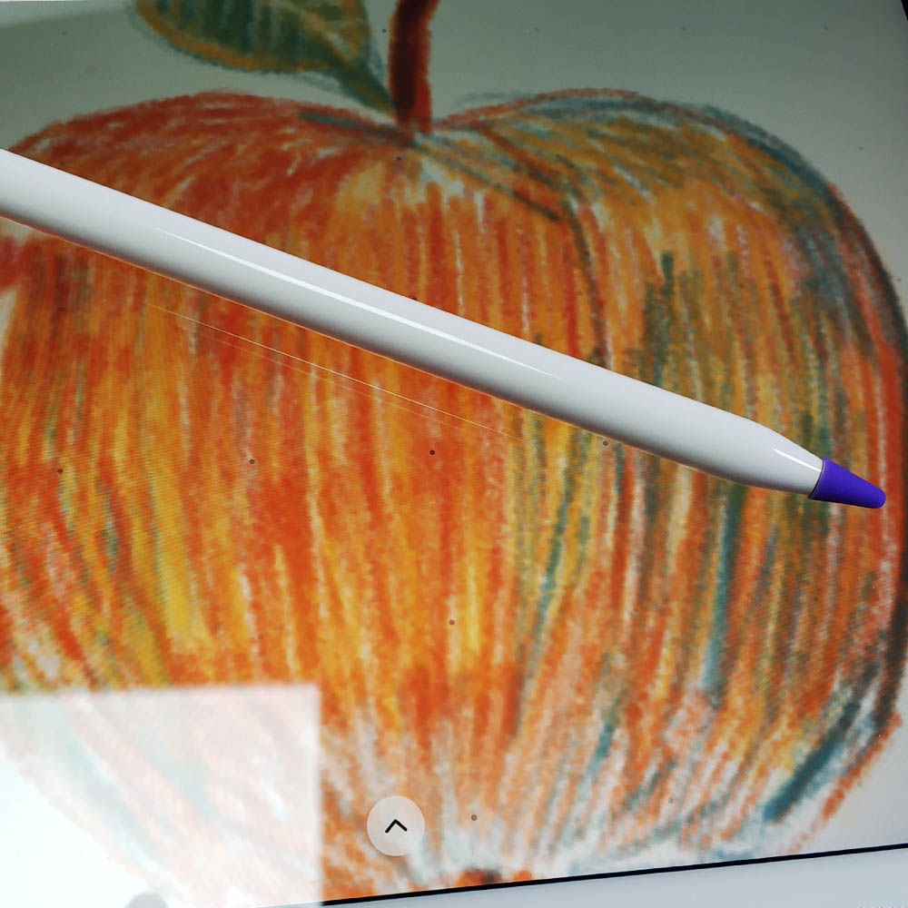 Vỏ Bảo Vệ Bút Cảm Ứng Apple Pencil 1 / 2 Chất Lượng Cao