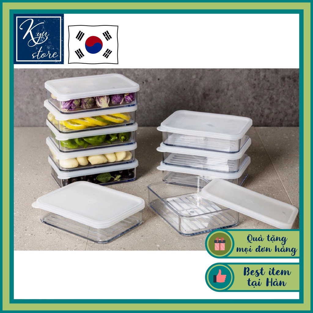 Set 10 hộp trữ đông tủ lạnh đựng thực phẩm 300ml chất liệu nhựa cao cấp an toàn có nắp đậy Silicook Hàn Quốc