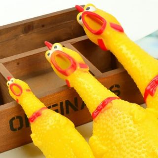 Gà bóp kêu Shrilling Chicken