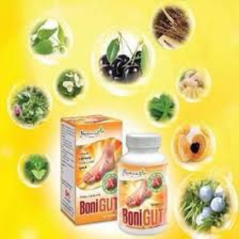 BONIGUT - Hỗ trợ điều trị bệnh Gout