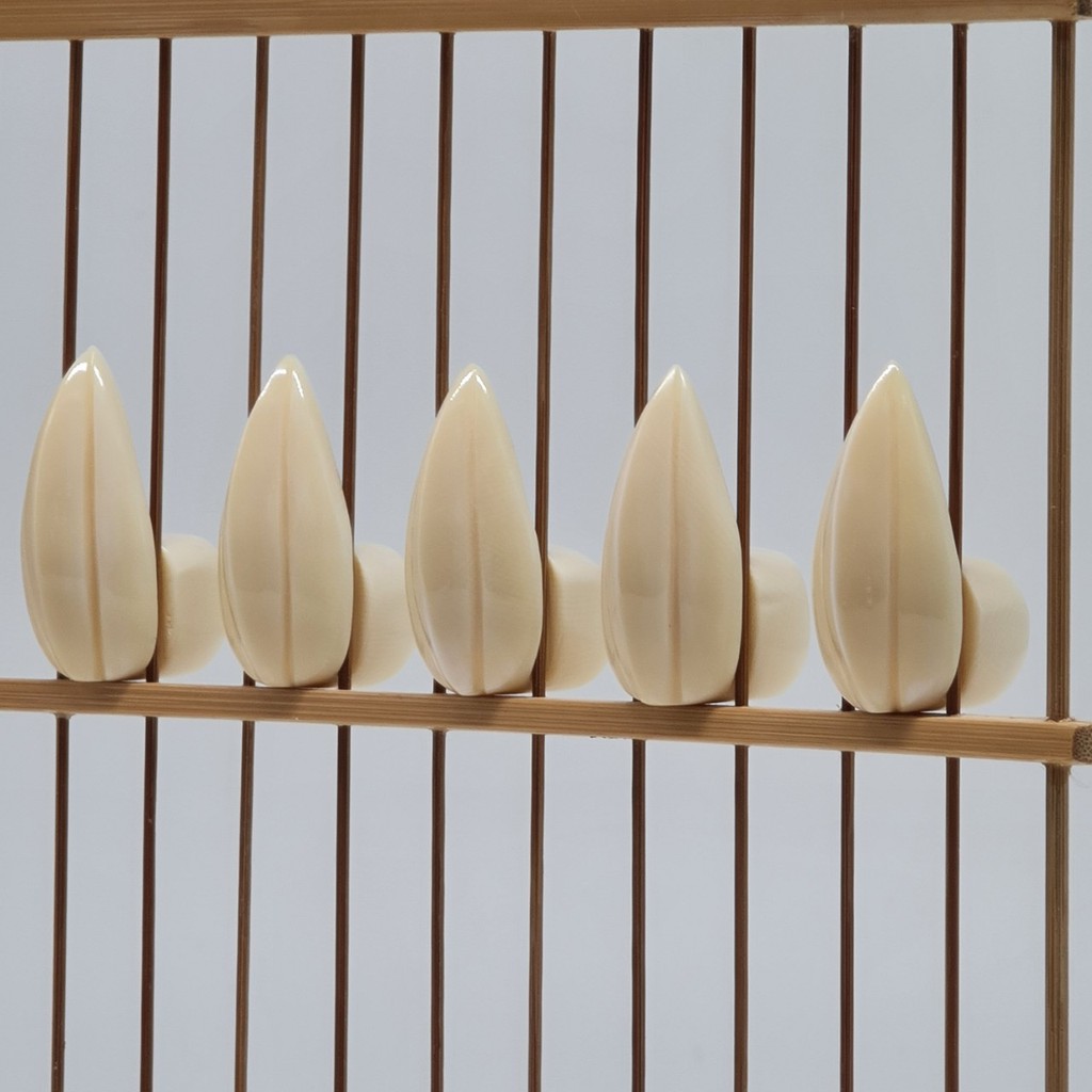 Phụ kiện chim - Star fruit - R008