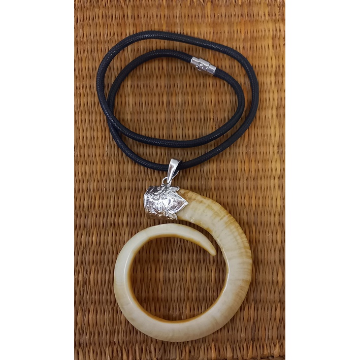 Mặt dây nanh heo nhân tạo phủ bì 9cm tặng dây đeo