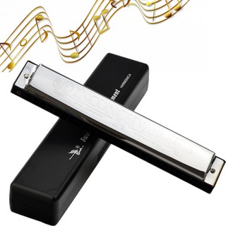 Kèn Acmônica 24 Lỗ Chuyên Dụng Cho Harmonica Acmônica