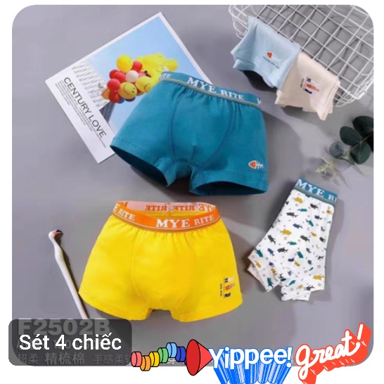 Quần lót bé trai Combo 4 quần chip bé trai cao cấp  Kidboss