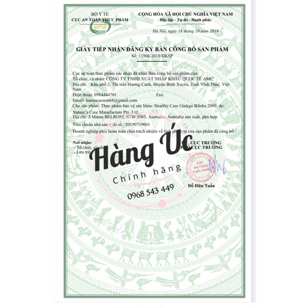 Bổ Não Ginko Biloba Healthy Care - Cải Thiện Tuần Hoàn Máu Não Và Hồi Phục Trí Nhớ | BigBuy360 - bigbuy360.vn