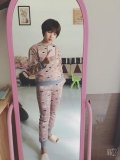 Bộ nỉ bông