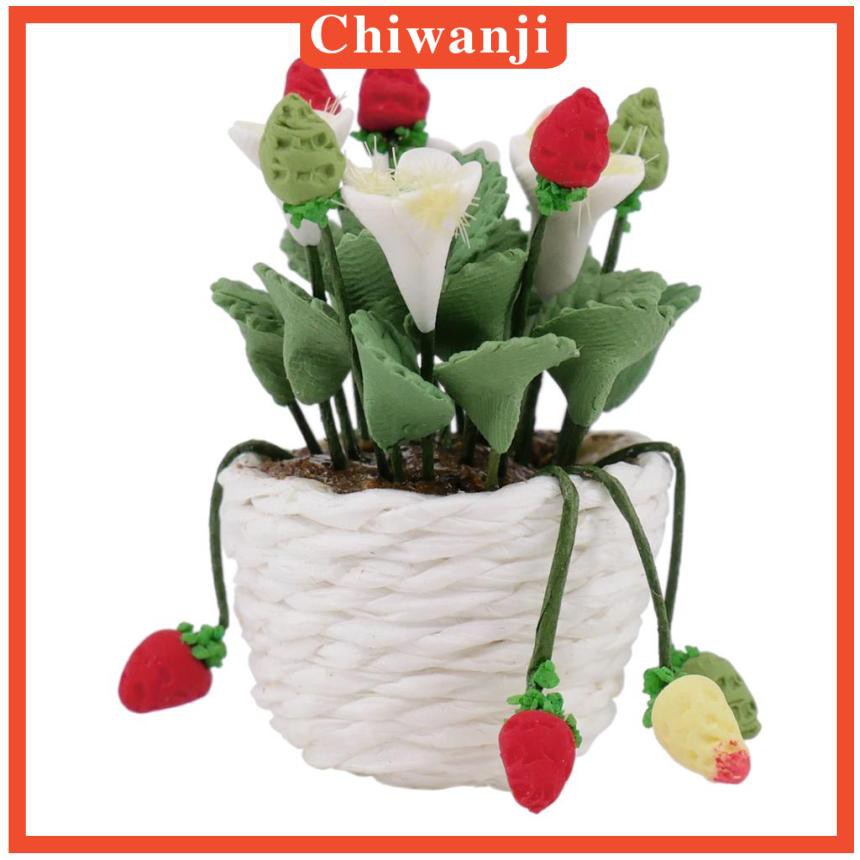 Chậu Cây Bonsai Mini Tỉ Lệ 1 / 12 Dùng Trang Trí Nhà Búp Bê