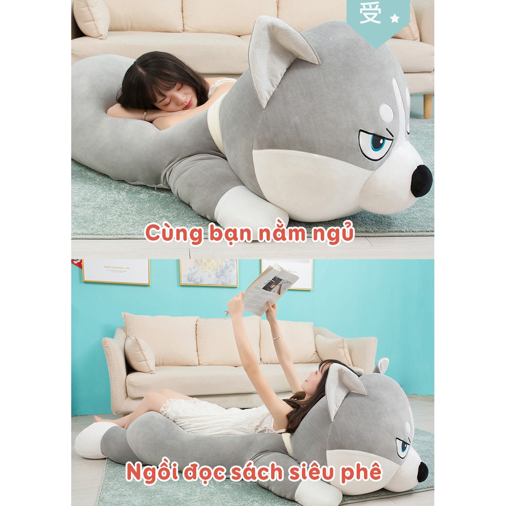 Chó Husky Bông Siêu To Khổng Lồ - Gấu Bông Husky - Best Bear Shop