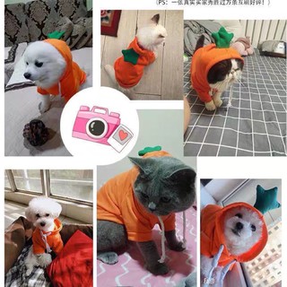 Áo nỉ cho chó mèo