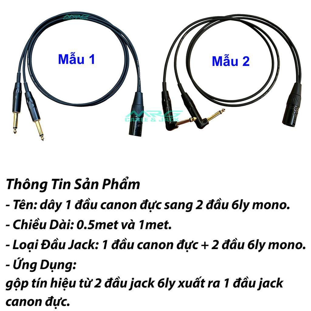 Dây 2 Đầu 6 Ly Ra 1 Đầu Canon Đực, dài 0.5met và 1met, giá 1 dây.