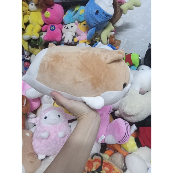 Gấu bông siba size 20-30cm