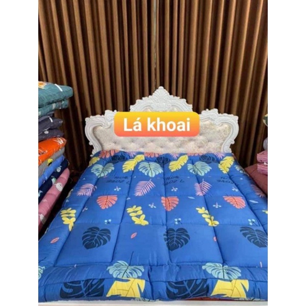 Nệm Topper Tấm làm mềm đệm cotton Hàn quốc mới nhất 2023