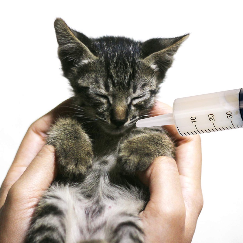 1 Ống Tiêm Nhựa 20ml / 60ml Không Kim Dùng Trong Thí Nghiệm Khoa Học, Khử Trùng CR1