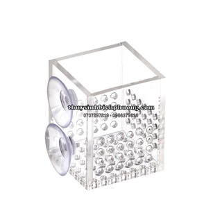 Cốc trồng cây thủy sinh | chén trồng cây acrylic ebi