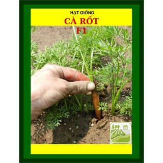 Hạt Giống Cà Rốt Baby, Thịt Củ Chắc 20 Gram