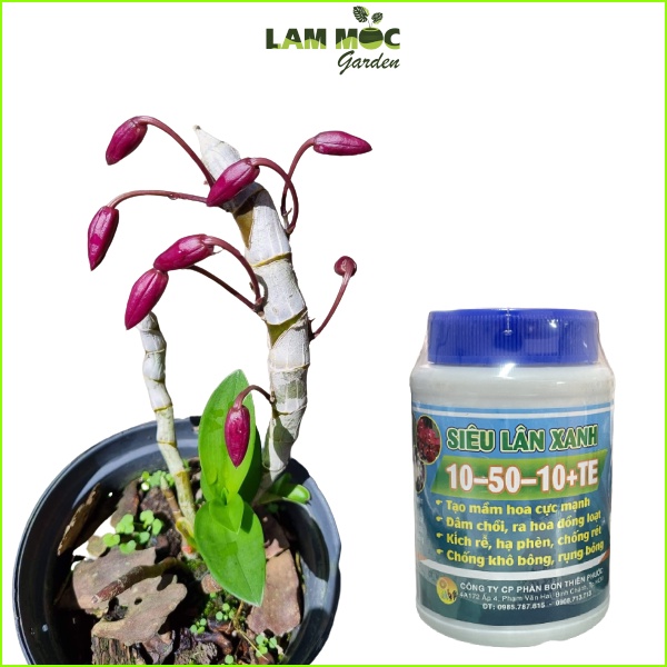 Kích Thích Ra Hoa - Chống Rụng Hoa - Siêu Lân Xanh  - Hủ 100g