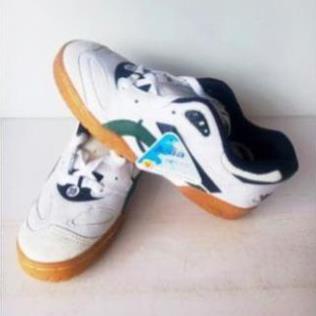 Giày Asia Đi Bộ, Đánh Cầu Lông, Bóng Chuyền (size 38 đến 44) ! * ! ; #
