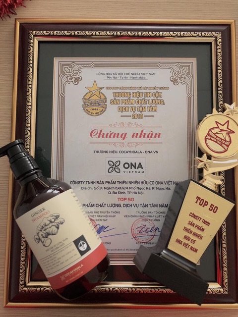 <Có quà tặng> Cặp dầu gội - dầu xả gừng nguyên xơ của cỏ cây hoa lá | BigBuy360 - bigbuy360.vn