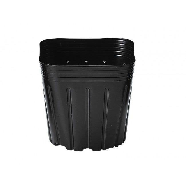 20 Bầu ươm hạt Nhật Bản loại lớn 9.5cm