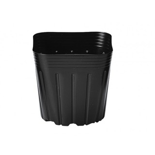 20 bầu ươm hạt nhật bản loại lớn 10.5cm