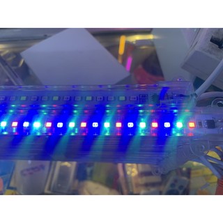 ⚡Led Thanh 220V tự chuyển 7 màu.