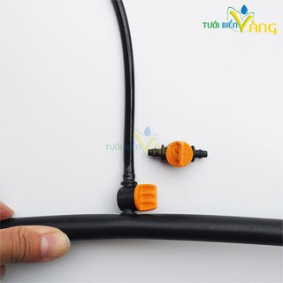 Combo 5 van khởi thủy 6mm